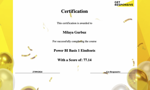 certification power bi basis 1 eindtoets milaya.gurbuz@student.hu.nl